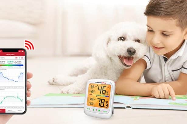 Image 1 of Pet Safety: How to Keep Your Pets Warm and Healthy in Winter​