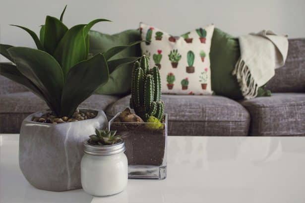 Image 1 of Healthy Home, Healthy Life: Reducing Everyday Toxins Indoors
