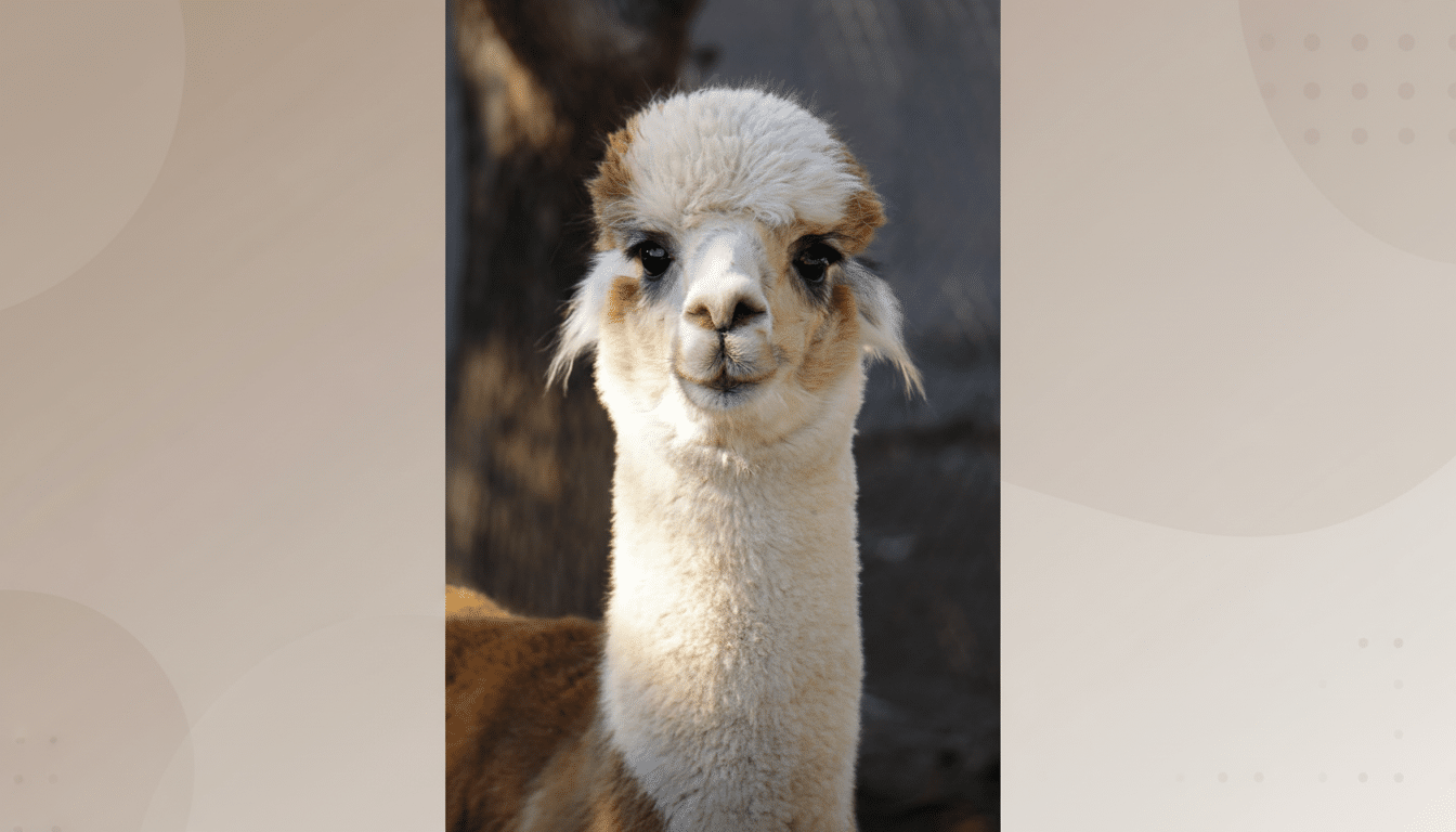 Bullish stock chart with AI chip showing investors growing AI investment