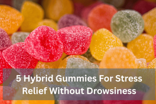 Image 1 of 5 Hybrid Gummies For Stress Relief Without Drowsiness