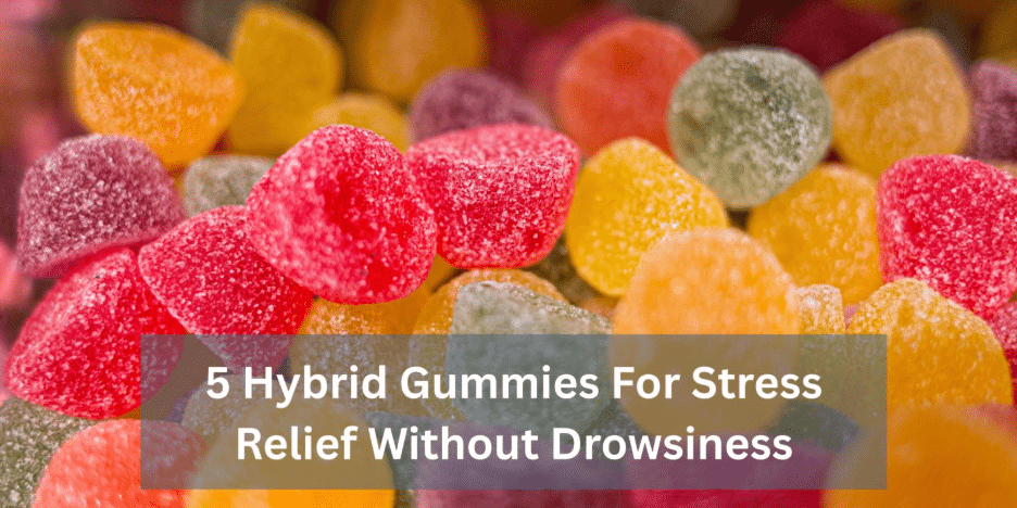 Image 1 of 5 Hybrid Gummies For Stress Relief Without Drowsiness