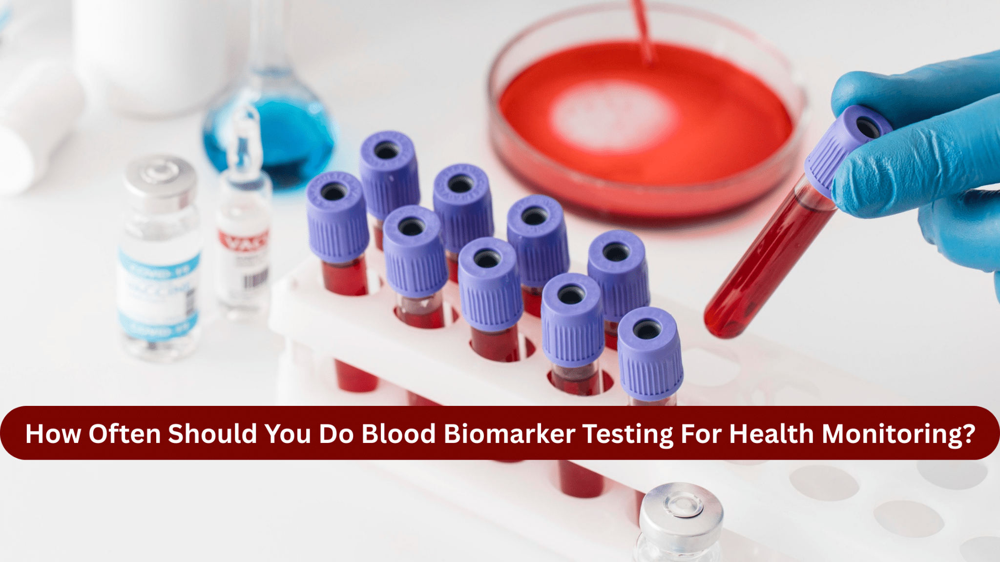 Image 1 of How Often Should You Do Blood Biomarker Testing For Health Monitoring?