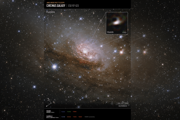 A wide-field image of the Circinus Galaxy, showing its spiral arms and bright core, with an inset comparing views from the Hubble and Webb telescopes.