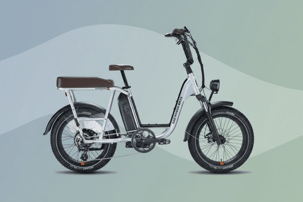 A silver Rad Power Bikes RadRunner electric utility bike with a brown seat and black tires, presented against a professional flat design background with soft green and grey gradients.