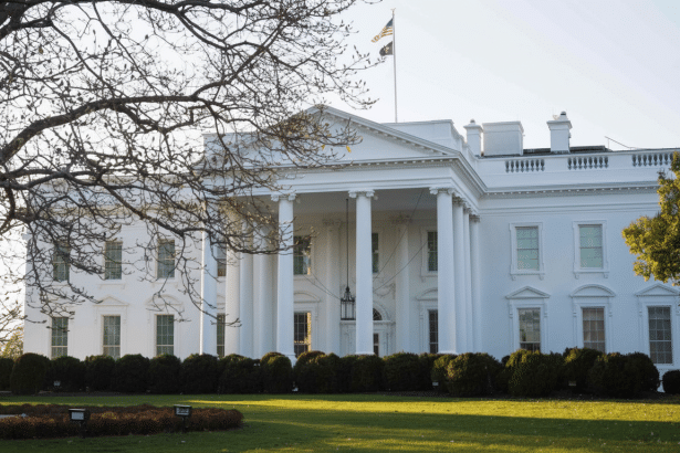 The White House, a large white building with columns, is seen from a distance with a tree in the foreground and a flag flying above.