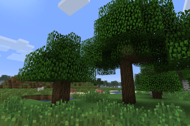 Why Server Quality Matters More Than You Think in Minecraft