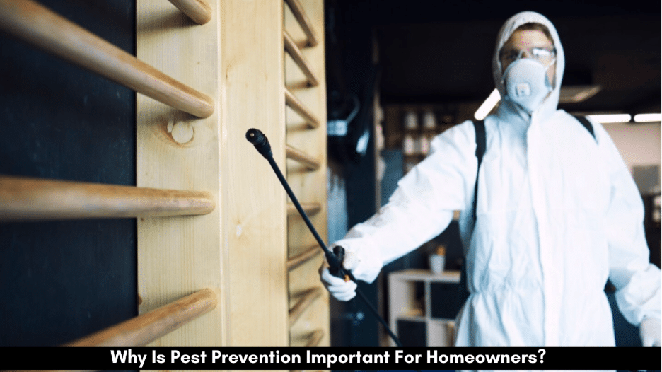 Image 1 of Why Is Pest Prevention Important For Homeowners?