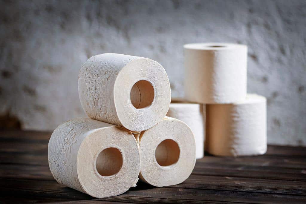 Bamboo vs. Recycled Toilet Paper: Which is Better? | Reel Paper