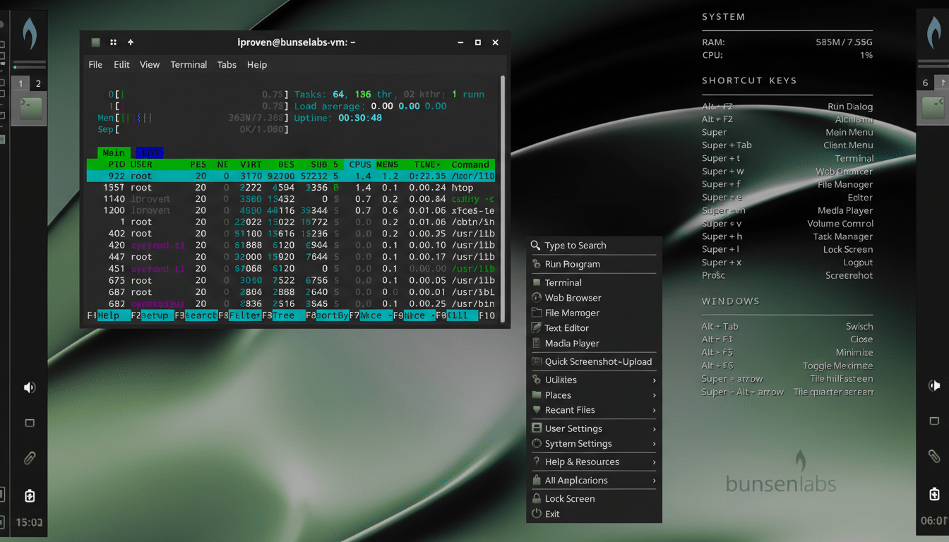 A screenshot of a Linux desktop environment with a terminal window open, displaying system processes and resource usage.