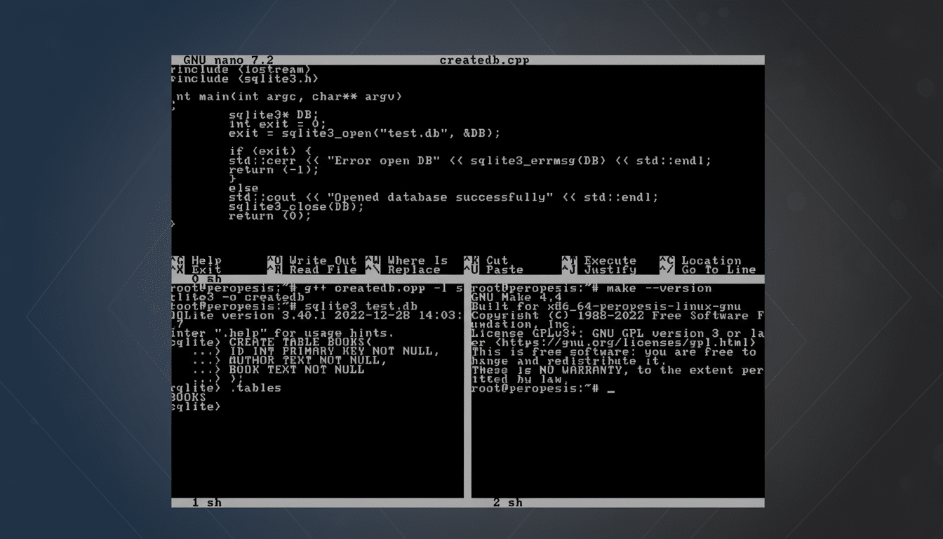 A screenshot of a terminal window displaying code, commands, and database information, resized to a 16:9 aspect ratio with a subtle patterned background.
