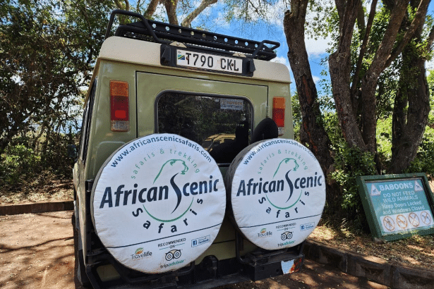 Image 1 of Is African Scenic Safaris a Reliable Tanzania Tour Operator?