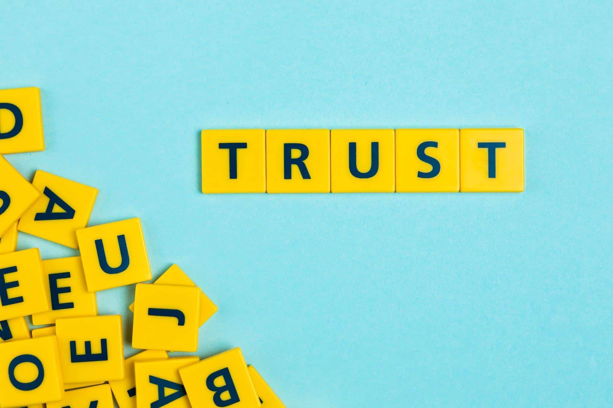 Image 1 of The Role of Content and Search Visibility in Building Brand Trust