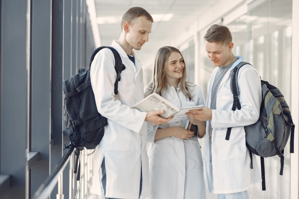 Image 1 of Why Students Prefer Education Paths That Combine Leadership and Clinical Practice