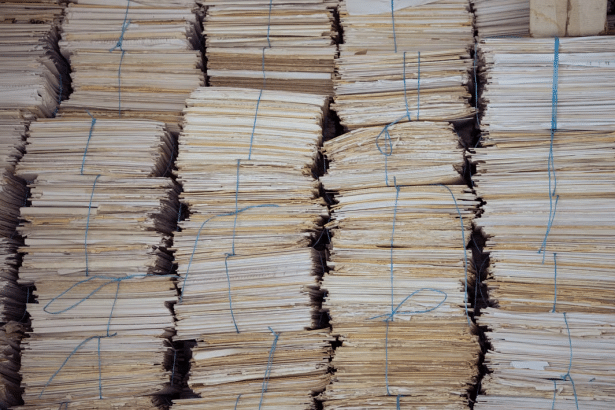 Image 1 of Modern Strategies for Managing Large-Scale Information Archives