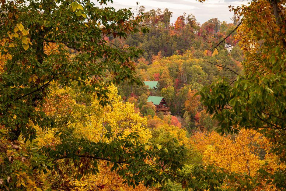 Image 1 of How to Plan a Fun Group Escape in Pigeon Forge