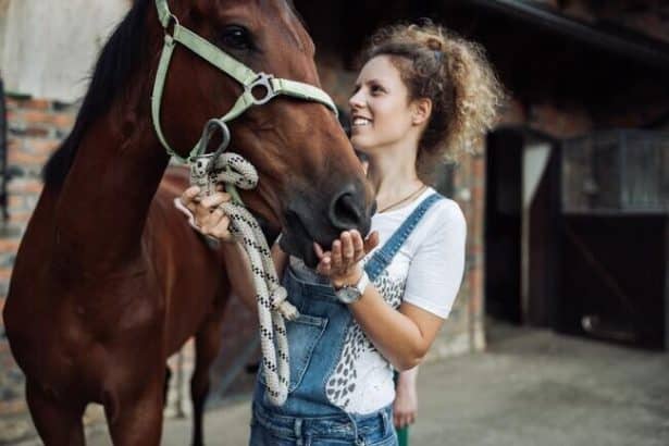 Image 1 of Husson University Anthrozoology Course Earns Clifton Bryant Animals & Society Course Award