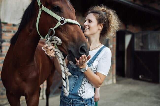 Image 1 of Husson University Anthrozoology Course Earns Clifton Bryant Animals & Society Course Award