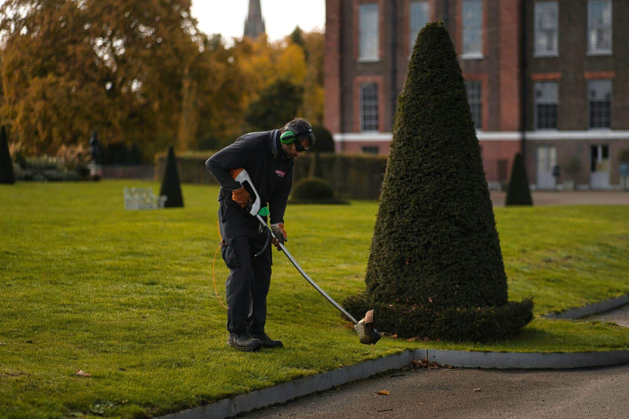 Image 1 of Why Your Lawn Keeps Turning Brown Even When You Water It Regularly